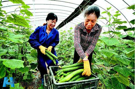 果蔬冷库建造